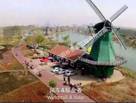 點(diǎn)擊查看詳細(xì)信息<br>標(biāo)題：濱州秦皇河實(shí)地1 閱讀次數(shù)：1513