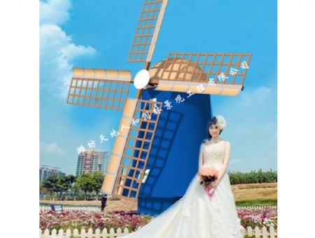 點(diǎn)擊查看詳細(xì)信息<br>標(biāo)題：新式景觀風(fēng)車-039 閱讀次數(shù)：809